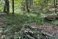 Property for sale in Ashe County, North Carolina