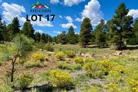 Property for sale in Apache County, Arizona