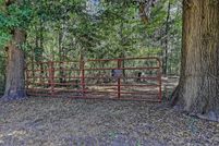 Undeveloped Land for sale in Montgomery County, Texas