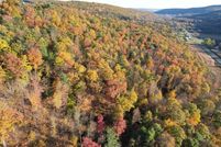 Undeveloped Land for sale in Tioga County, New York