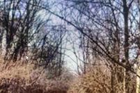 Farm Property for sale in Jefferson County, Missouri