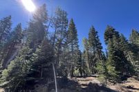 Undeveloped Land for sale in Shasta County, California