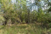Undeveloped Land for sale in Dixie County, Florida