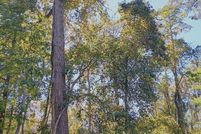 Lakefront Property for sale in Harrison County, Mississippi
