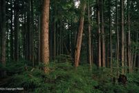 Undeveloped Land for sale in Monroe County, Pennsylvania