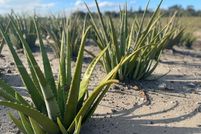 Property for sale in Palm Beach County, Florida