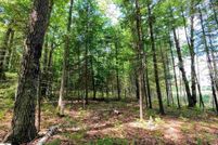 Undeveloped Land for sale in Kalkaska County, Michigan