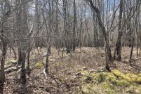 Undeveloped Land for sale in Monroe County, Pennsylvania