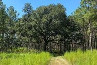 Property for sale in Livingston Parish, Louisiana