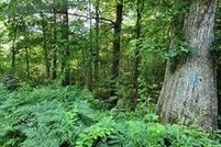 Property in Worcester County, Massachusetts