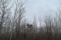 Undeveloped Land for sale in Oneida County, Wisconsin