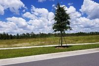 Undeveloped Land for sale in Orange County, Florida