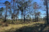 Lakefront Property for sale in Glynn County, Georgia