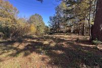 Undeveloped Land for sale in Harrison County, Texas