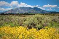 Undeveloped Land for sale in Taos County, New Mexico