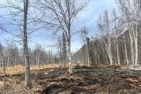 Property for sale in Matanuska-Susitna Borough, Alaska