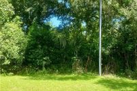 Undeveloped Land for sale in Glynn County, Georgia