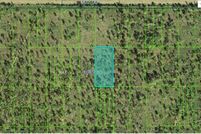 Undeveloped Land for sale in Polk County, Florida