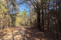 Undeveloped Land for sale in Bowie County, Texas