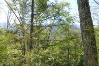 Property for sale in Cocke County, Tennessee