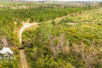 Undeveloped Land for sale in Wheeler County, Georgia