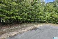 Undeveloped Land for sale in Jefferson County, Alabama