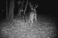 Property for sale in Wood County, Texas