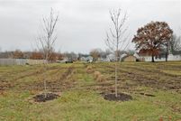 Property for sale in Cass County, Missouri