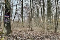 Undeveloped Land for sale in Preston County, West Virginia