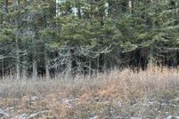 Undeveloped Land for sale in Cass County, Minnesota