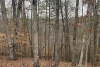 Lakefront Property for sale in Gilmer County, Georgia