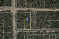 Undeveloped Land for sale in Putnam County, Florida