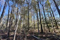 Undeveloped Land for sale in Washington County, Alabama