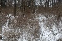 Property for sale in Livingston County, Michigan