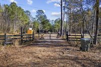 Undeveloped Land for sale in Georgetown County, South Carolina