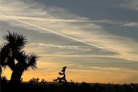 Property for sale in San Bernardino County, California