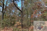 Undeveloped Land for sale in Bowie County, Texas
