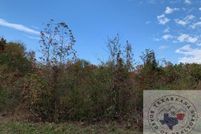 Undeveloped Land for sale in Bowie County, Texas
