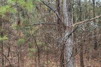 Property for sale in Shelby County, Alabama