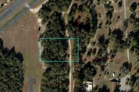 Undeveloped Land for sale in Levy County, Florida
