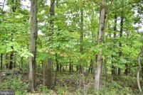 Undeveloped Land for sale in Frederick County, Virginia