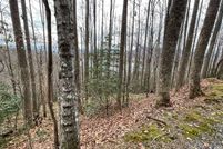 Property for sale in Towns County, Georgia