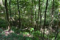 Undeveloped Land for sale in Towns County, Georgia