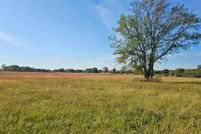 Undeveloped Land for sale in Titus County, Texas