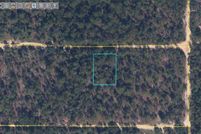 Undeveloped Land for sale in Clay County, Florida