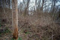 Undeveloped Land for sale in Marion County, West Virginia