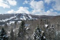 Undeveloped Land for sale in Windham County, Vermont