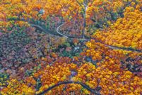 Undeveloped Land for sale in Gordon County, Georgia