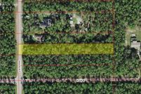Undeveloped Land for sale in Collier County, Florida