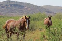 Property for sale in Cochise County, Arizona